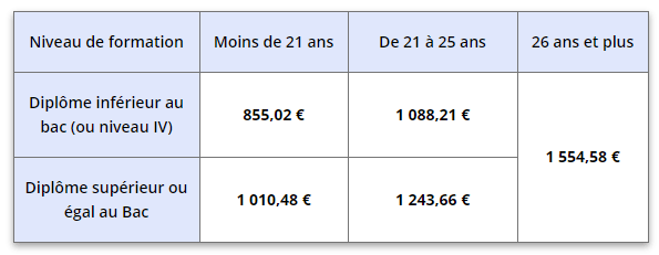 Grille salaire contrat professionnalisation